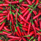 Kejora Fresh Red Thai Chili Peppers -1 Lb (16 Oz)