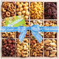 NUT CRAVINGS Gourmet Collection Congratulations Nuts Gift Basket with Congrats Ribbon + Greeting Card in Reusable Wooden Tray (1