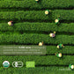 Matchaia Premium Ceremonial Grade, Usda-Certified Organic Matcha, 100% Pure Green Tea Powder, First Spring Harvest, Sugar Free,