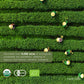 MatchAiA Organic Matcha Green Tea Powder, Culinary Grade, 350g (12.3oz), Sugar Free, Gluten Free