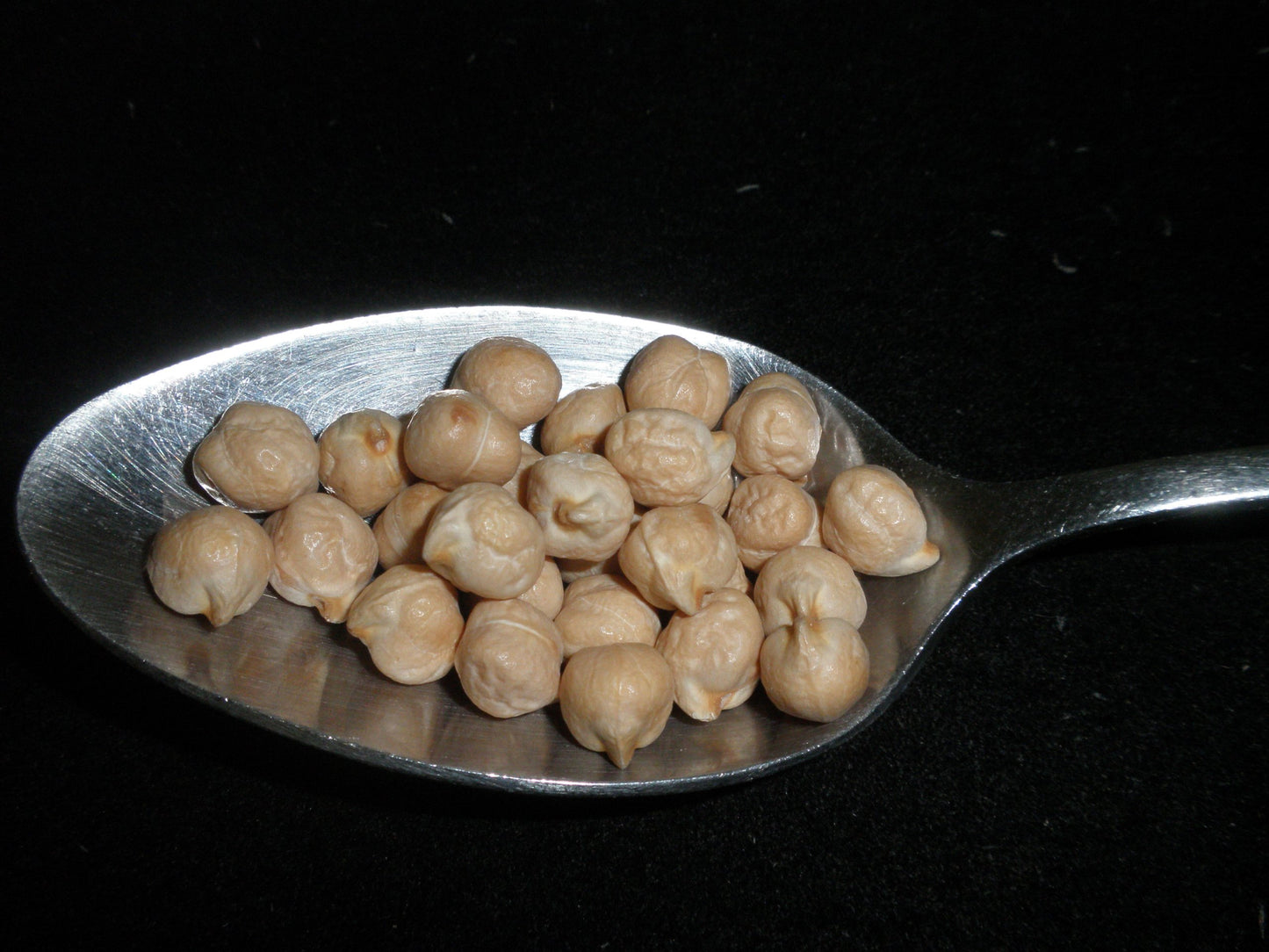 Garbanzo Beans, 5 Pounds (Chick Peas), Usda Certified Organic, Dried, Non-Gmo, Great For Hummus, Bulk, Product Of Usa, Mulberry