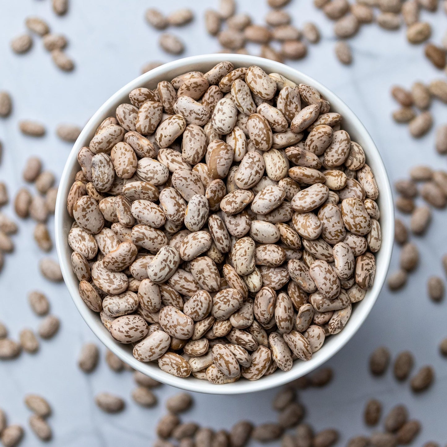High Plains Pinto Beans | 25 Pound Bag | Farm-Fresh Pinto Beans | Non-GMO Verified | High Protein & Fiber Source | Dry Beans | Directly Sourced from Local Farmers