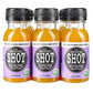 The Twisted Shot | Organic Apple Cider Vinegar Wellness Shots With Ginger, Turmeric, Honey, Cinnamon And Cayenne | Digestion, Immunity And Gut Health Support | Ready To Drink | 12, 2 Oz Mini Bottles
