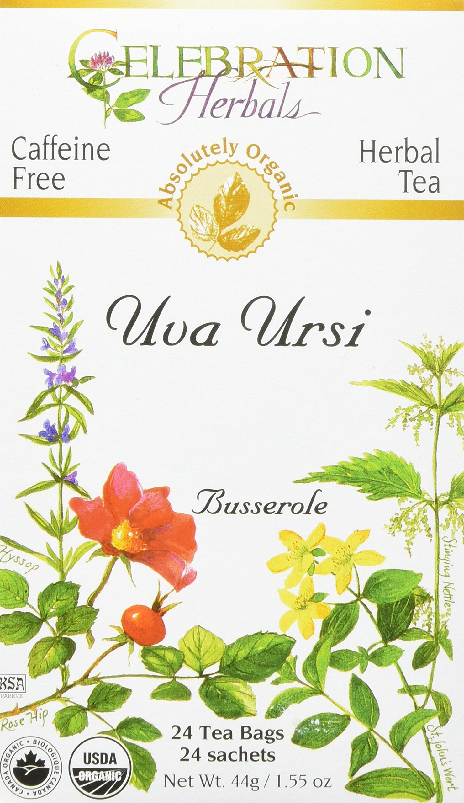Celebration Herbals Uva Ursi Tea Organic 24 Bag, 0.02 Pound