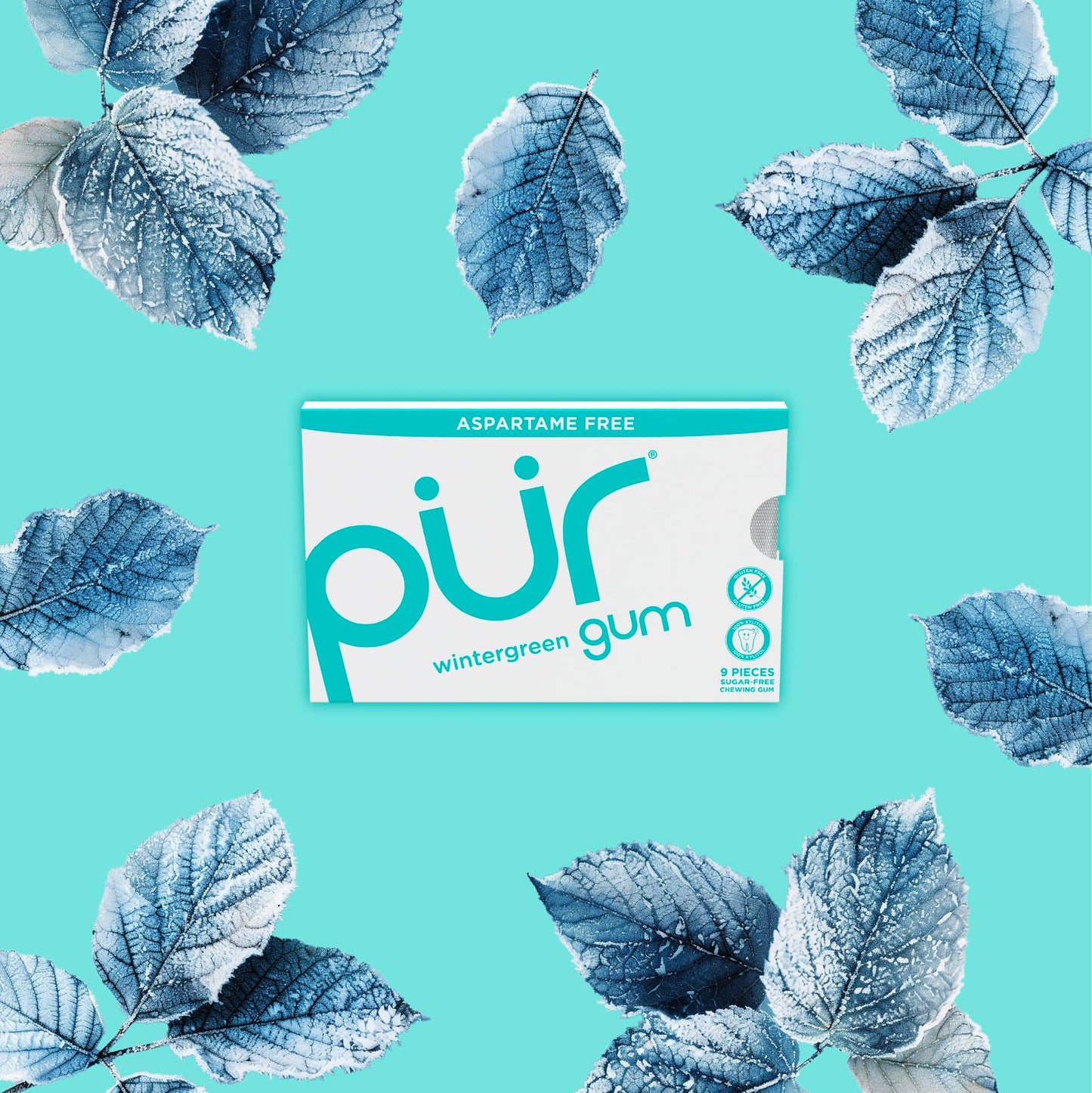Pur Gum | Aspartame Free Chewing Gum | 100% Xylitol | Natural Wintergreen Flavored Gum, 9 Pieces (Pack Of 12)