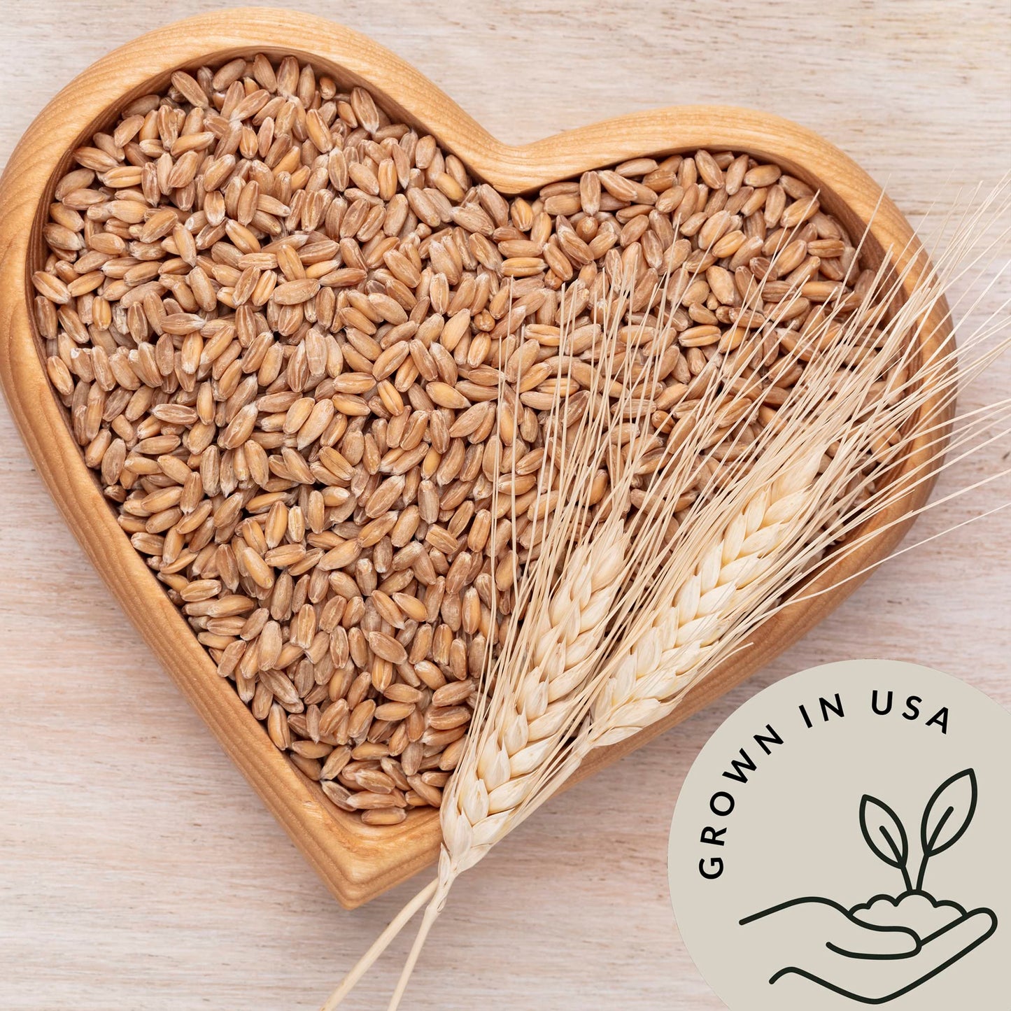Be Still Farms Einkorn Farro Grain Organic (4.8 lb) - Einkorn Wheat Berries Bulk Whole Ancient Grains - Ideal for Soup, Flour, B
