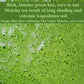 The Vedas Matcha | Premium Ceremonial Grade Matcha - Kagoshima Harvest - Authentic Japanese Green Tea Powder - First Flush Cerem