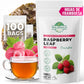 100 Bags Raspberry Leaf Tea Rasberry Leaf Herbs (Rubus Idaeus Folium) - 100 Count 1.5g Bags Rasberry Leave Tea Hojas De Frambues