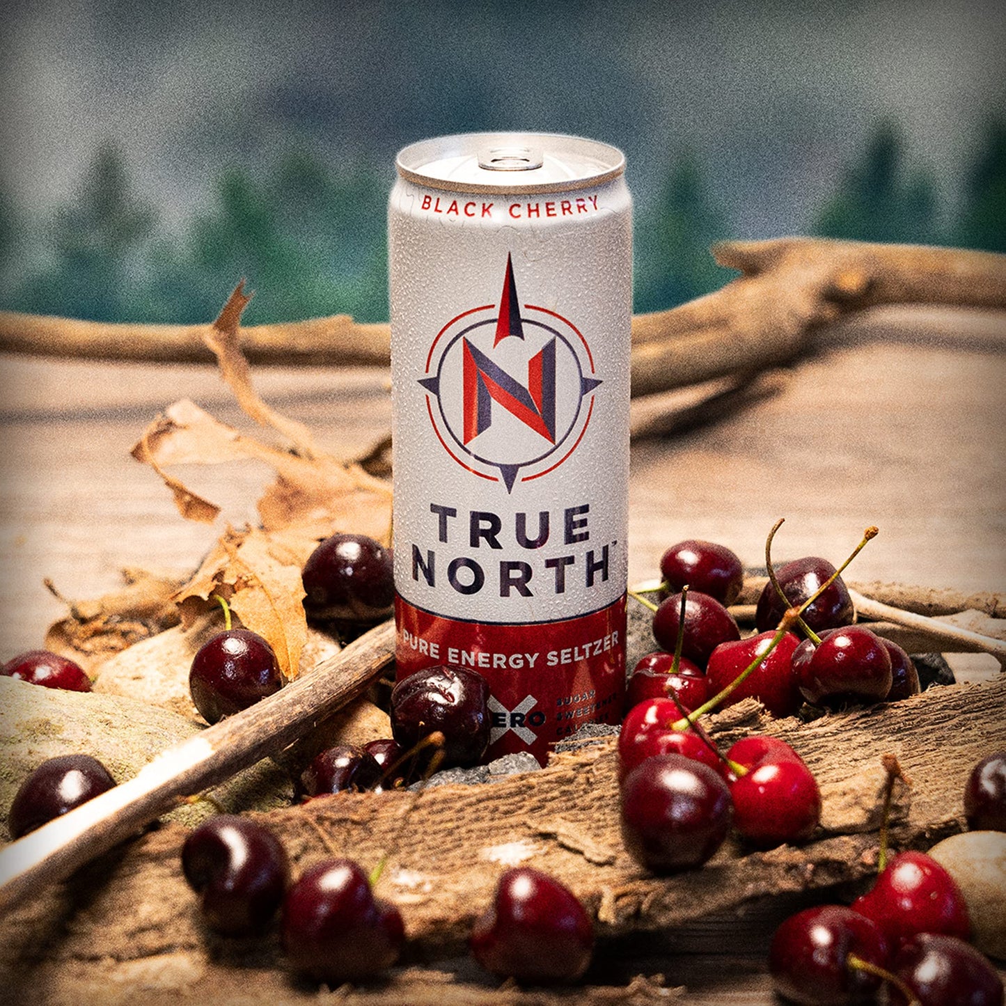 True North, Pure Energy Seltzer, Black Cherry, 12 Fl Oz (Pack Of 12)