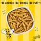 Zapps Jazzy Money Mustard Pretzel Stix pack of 8-5 oz bags