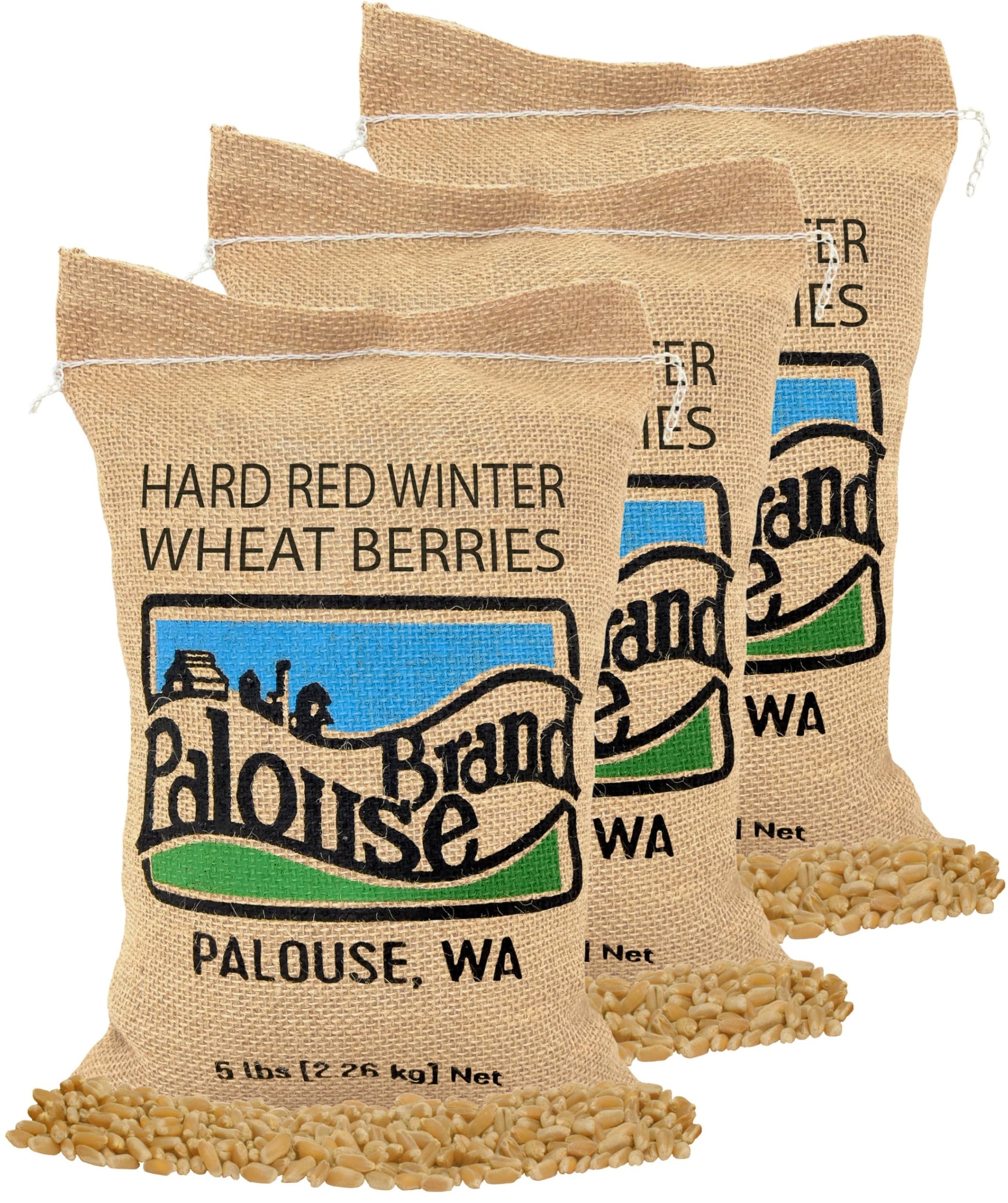 Hard Red Winter Wheat Berries | 15 Lbs | 3 Pack | Family Farmed In Washington State | Non-Gmo Project Verified | Kosher