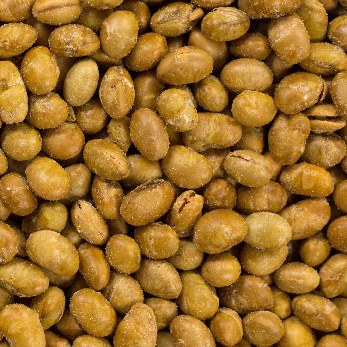 Dried Soybeans (Soynuts) Roasted Salted, 14 Oz., Kosher