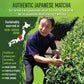 Matcha Organics - Premium Ceremonial Grade Matcha Green Tea Powder - Authentic 1St Harvest Japanese Green Tea - Usda & Jas Organ
