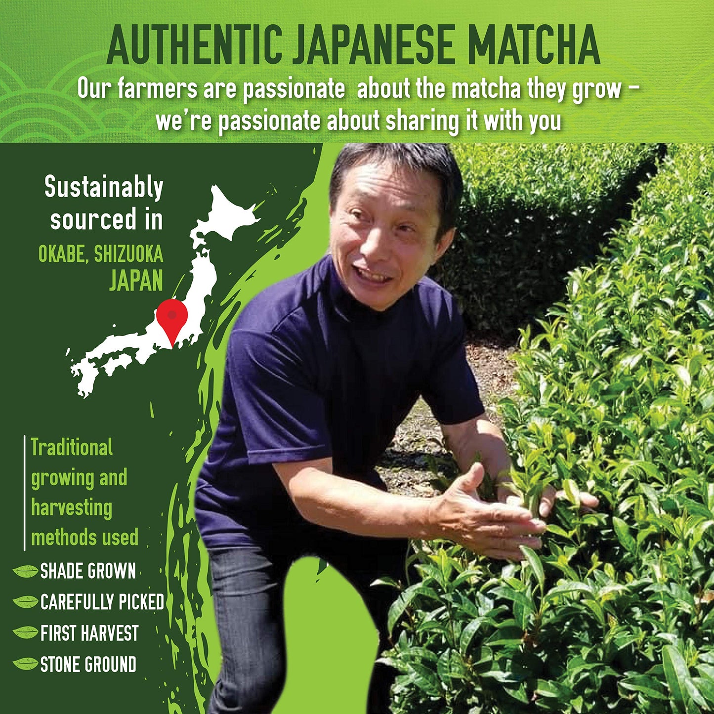 Matcha Organics - Premium Ceremonial Grade Matcha Green Tea Powder - Authentic 1St Harvest Japanese Green Tea - Usda & Jas Organ