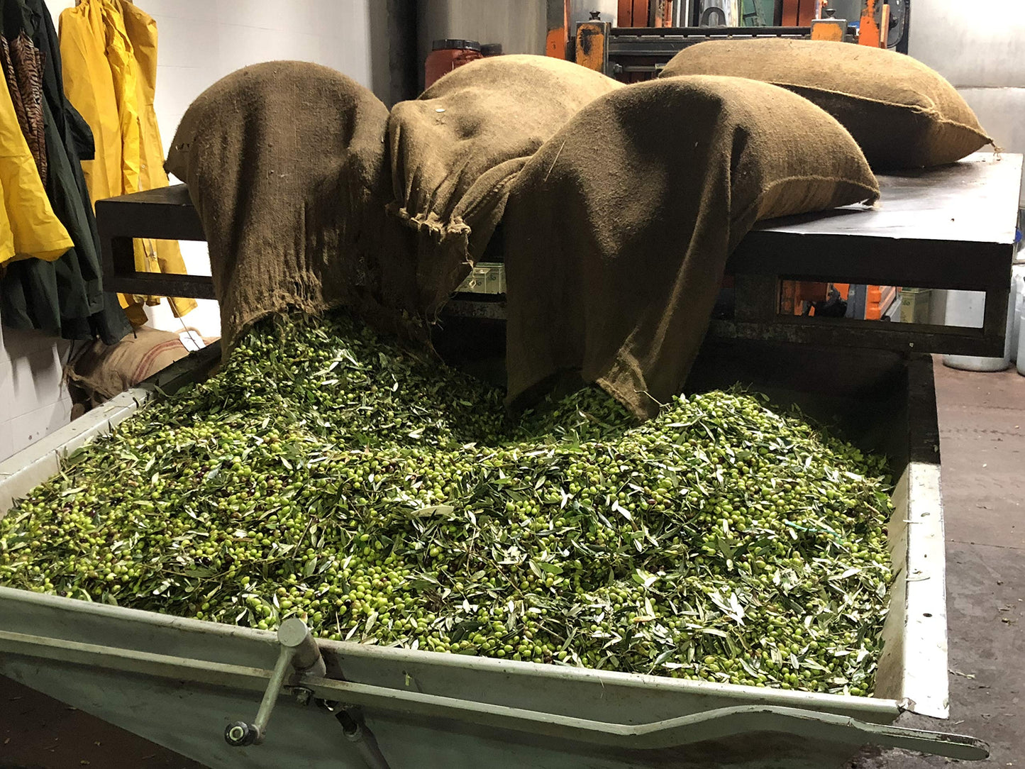 Th  A Premium Greek Extra Virgin Olive Oil (750Ml) I New Harvest 2023/2024 I Koroneiki Variety I First Cold Pressed I Low Acidit