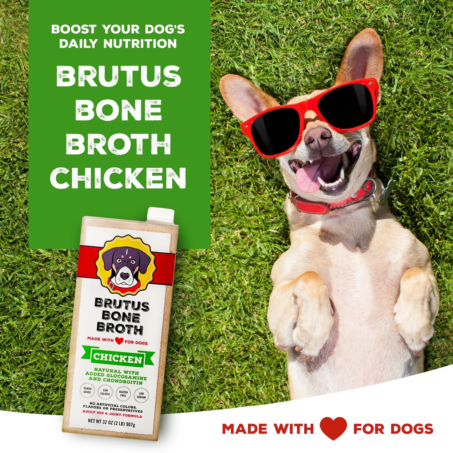 Brutus Bone Broth Chicken Broth for Dogs - Human Grade, 64 Fl Oz - Nutritious Toppers with Glucosamine & Turmeric