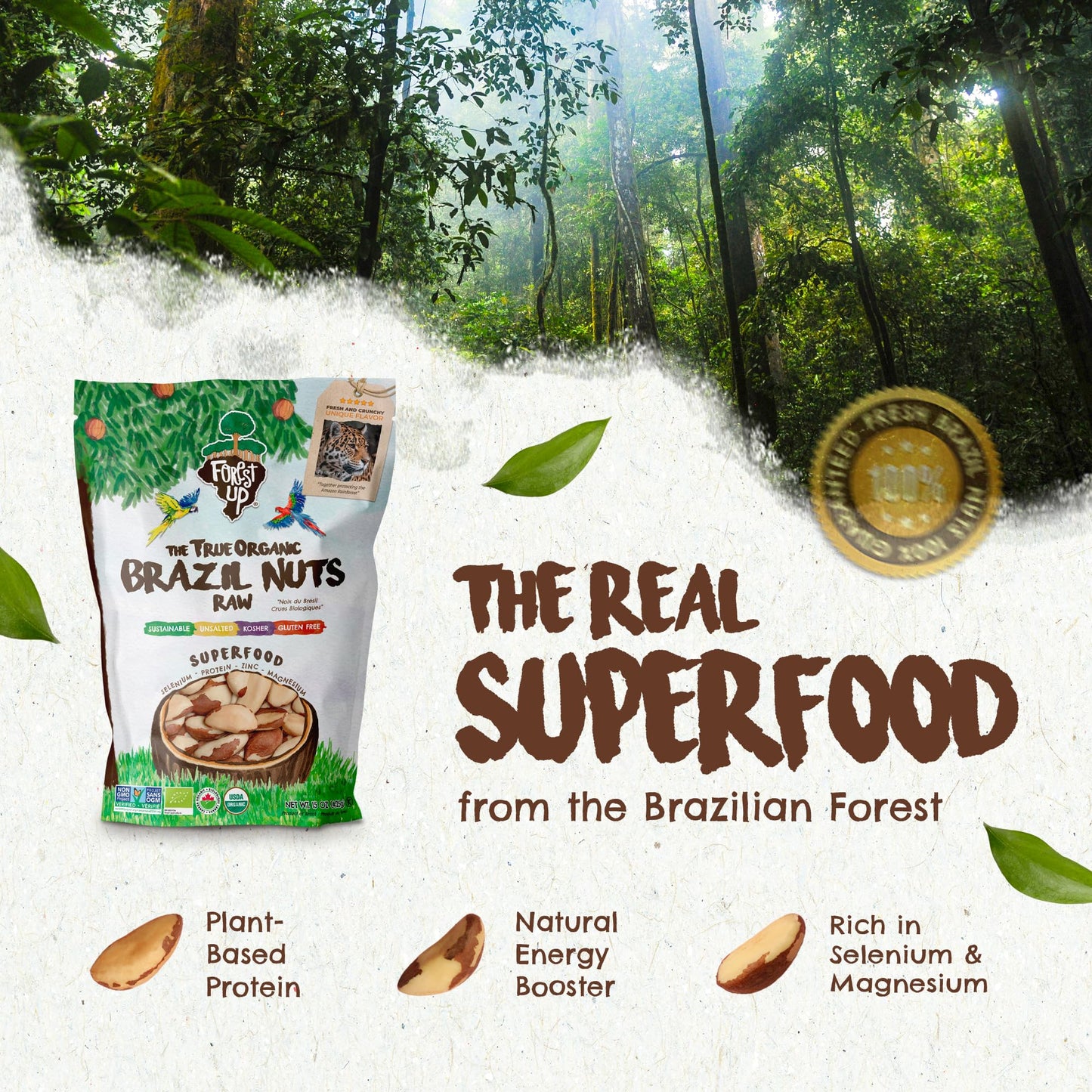 Floresta em P   The True Organic Premium Brazil Nuts (15oz) Raw & Unsalted | Kosher | Non-Gmo | Certified Organic | Fresh | Vega