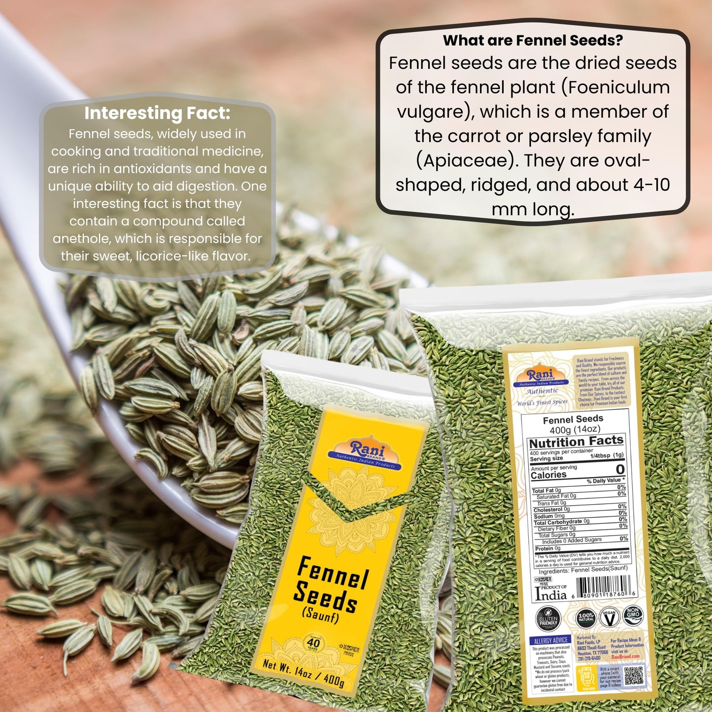 Rani Fennel Seeds (Saunf Sabut) Whole Spice 14Oz (400G) All Natural Gluten Friendly Non-Gmo Vegan Indian Origin
