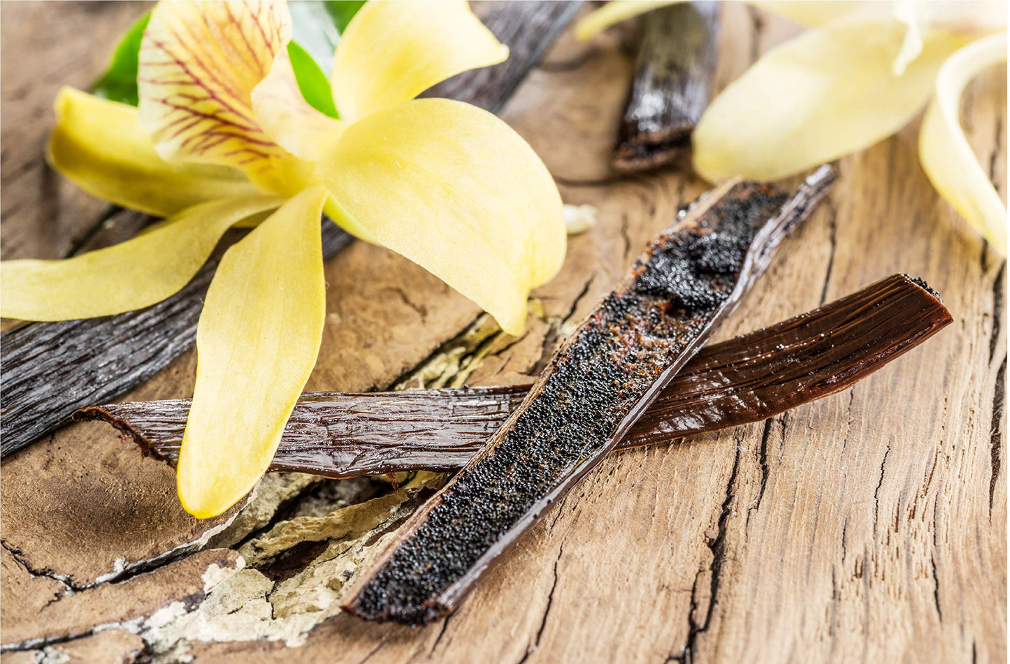 Vanilla Bean Kings 50 Vanilla Beans - Whole Extract Grade B Pods for Baking, Cooking - Black/Dark Brown