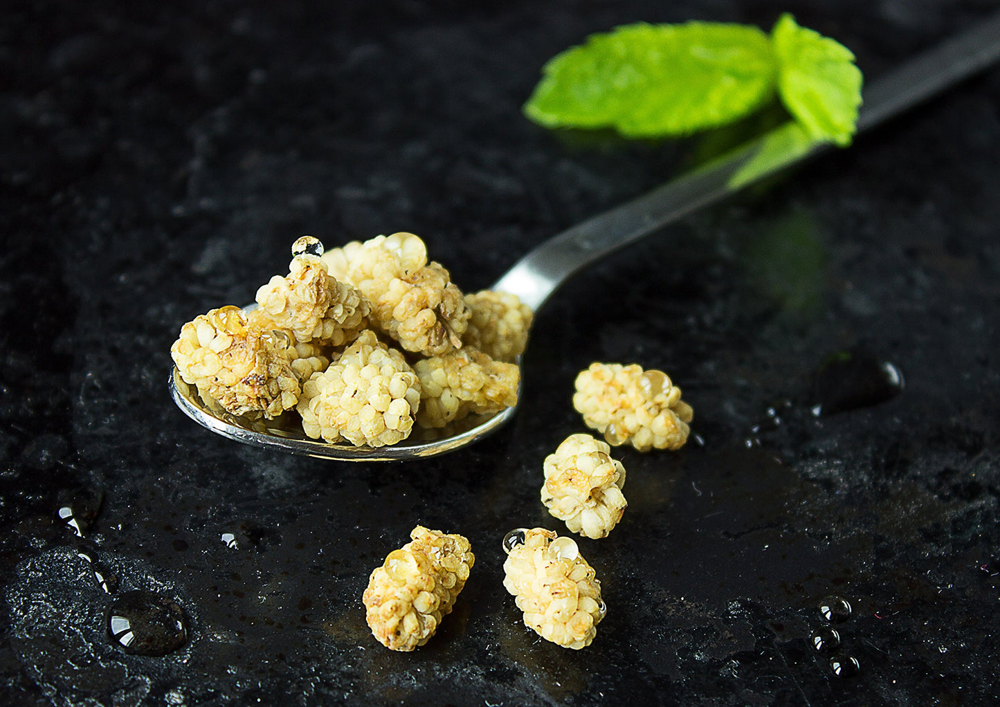 Food to Live Organic Dried White Mulberries - Non-GMO, Unsulfured, 5 Pound Pack