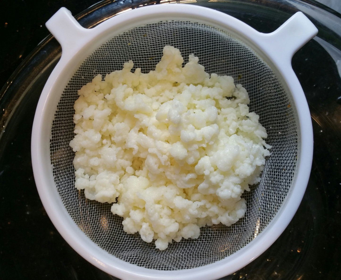 Milk Kefir Grains Live Raw Organic Probiotics BULGAROS