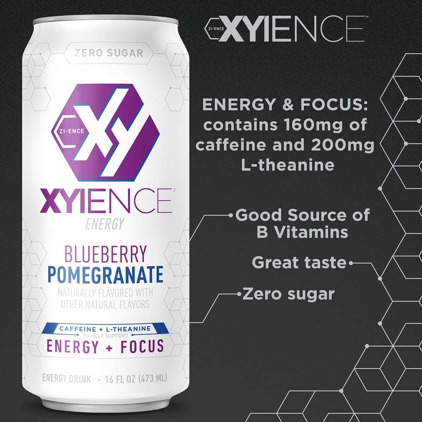 XYIENCE Energy Drink Blueberry Pomegranate Sugar Free 16 Fl Oz Pack of 12
