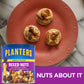 PLANTERS Mixed Nuts, Lightly Salted, 15 Ounce Canister, Pack of 3