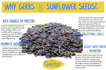 GERBS Jumbo Lightly Sea Salted Whole Sunflower Seeds, 14 oz Resealable Bag, Top 14 Allergy Free Superfood, Grown in USA