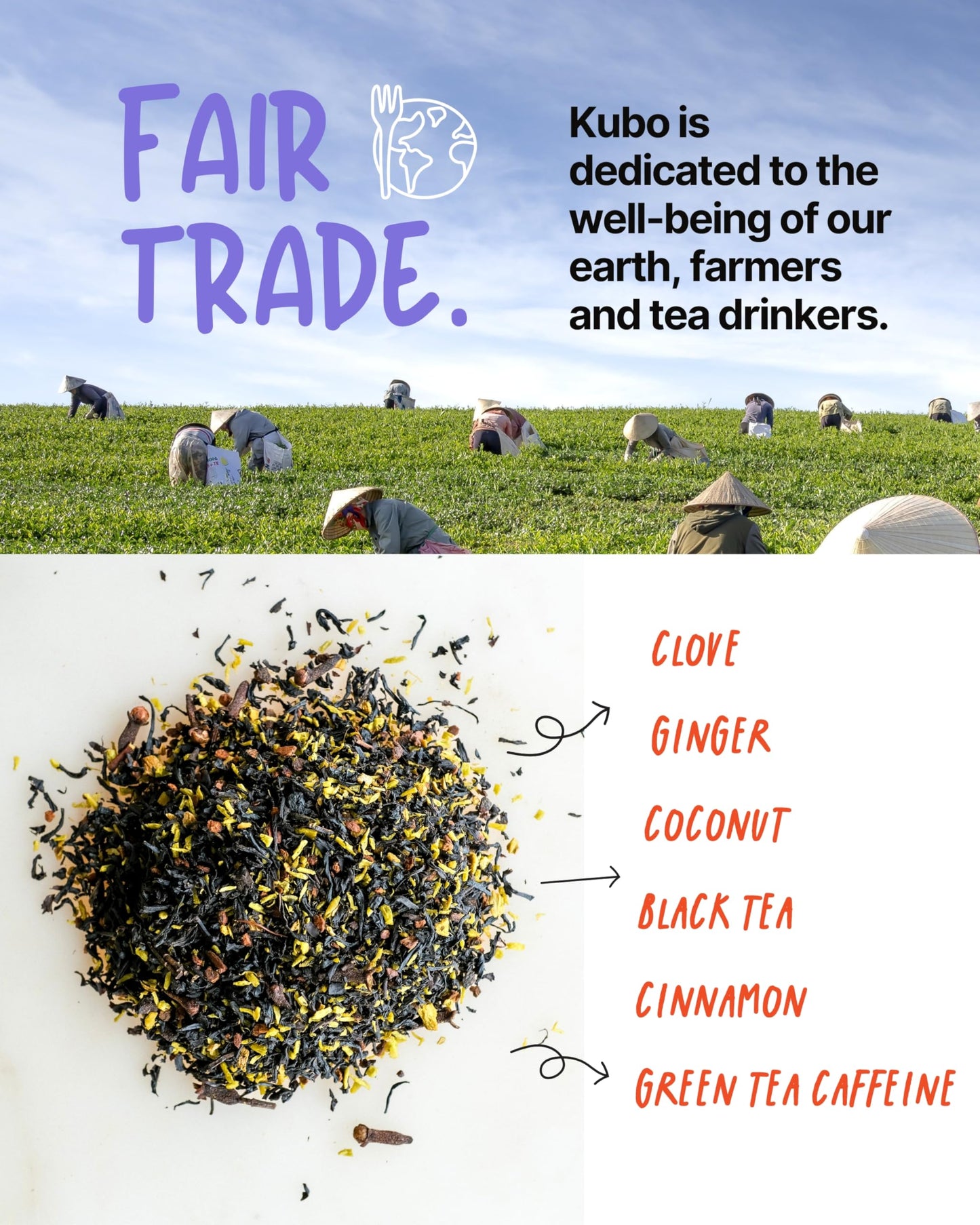 Kubo Tea Coconut Chai Black Tea - Organic High Caffeine Blend, 20 Pyramid Tea Bags, Compostable Packaging, Brew Hot or Iced