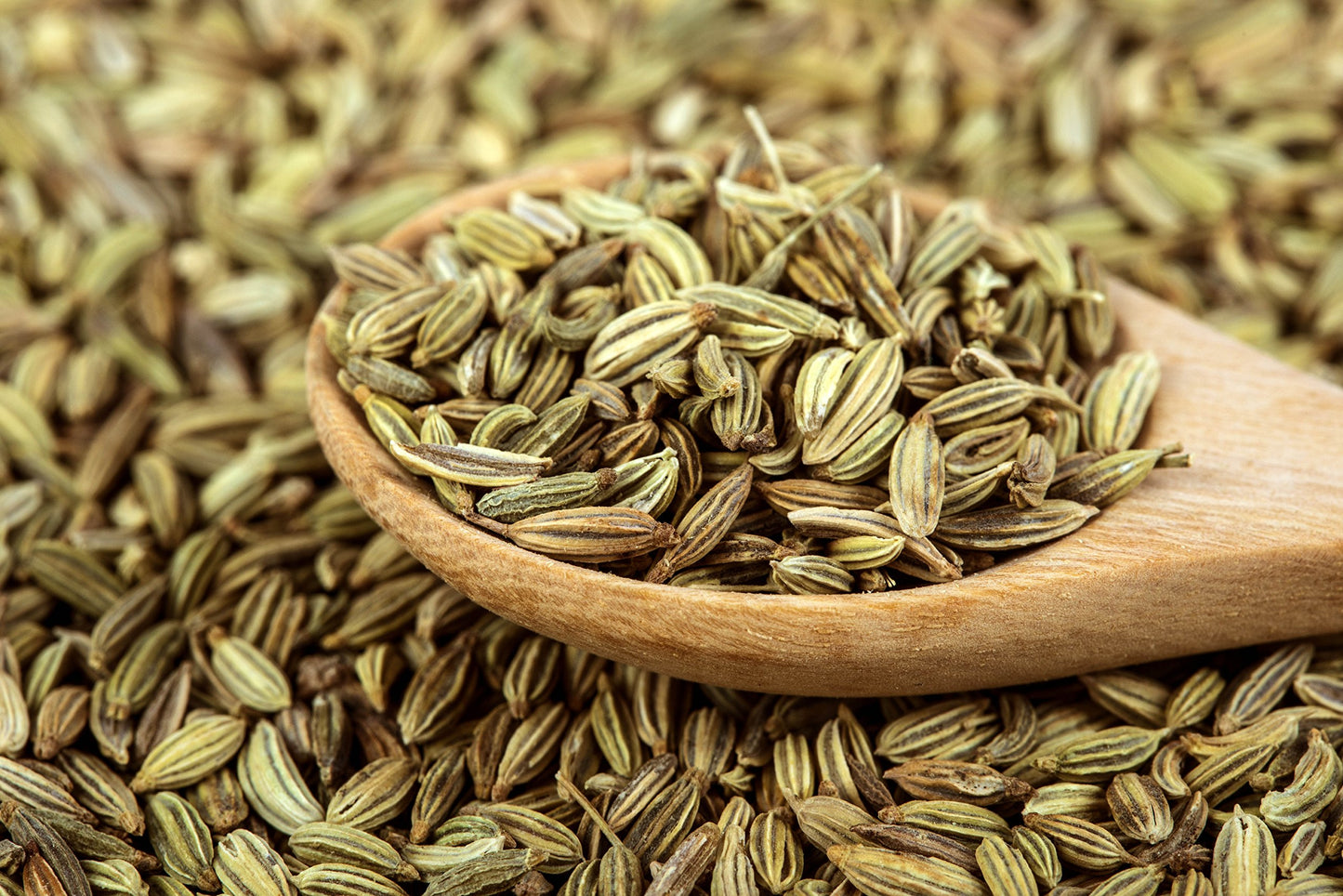 U.S. Wellness Naturals Organic Fennel Seed 1LB (16Oz) Bulk Resealable Bag