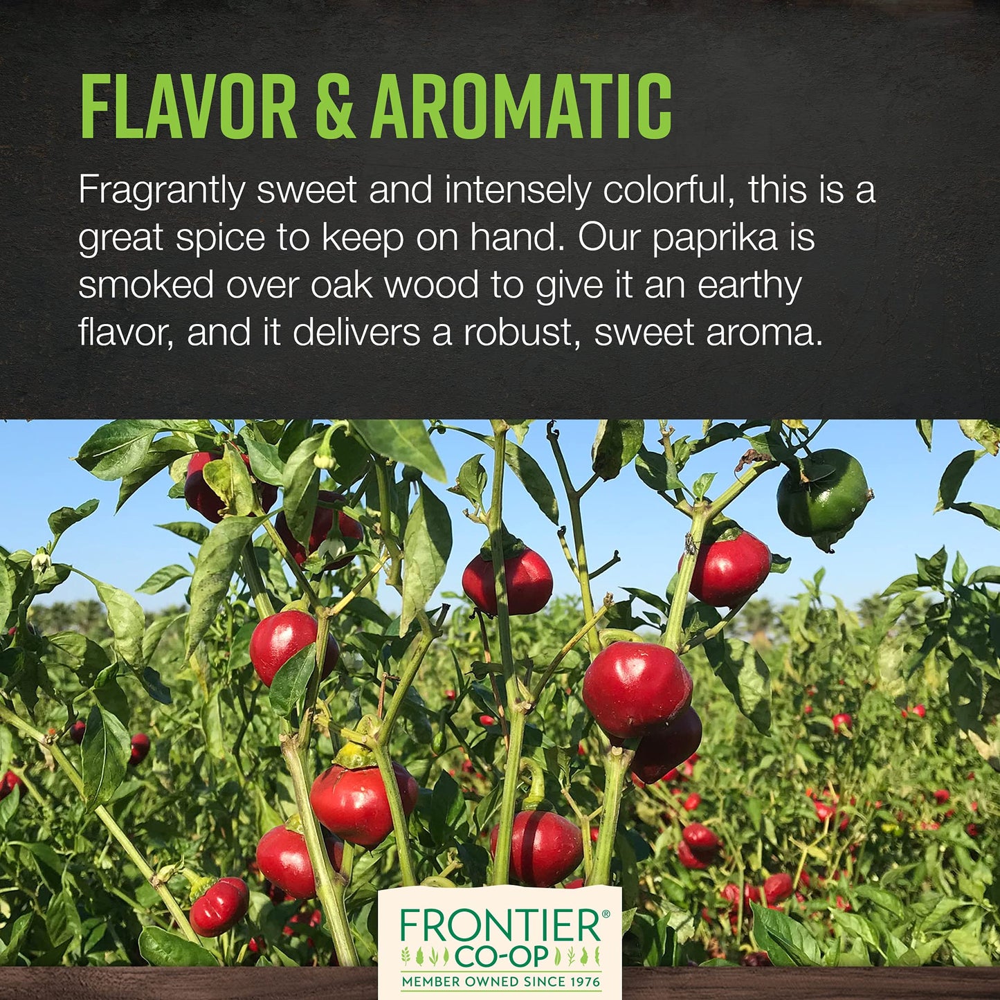 Frontier Co-op Ground Smoked Spanish Paprika Powder, 1lb Bulk Bag - Seasoning for Cooking