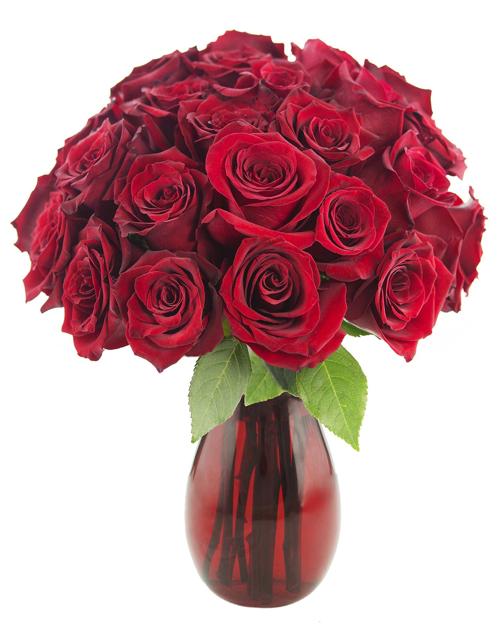 KaBloom PRIME NEXT DAY DELIVERY - Mothers Day Collection - Queen of Hearts Red Roses (Two Dozen) With Vase.Gift for Birthday, An