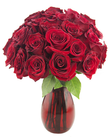 KaBloom PRIME NEXT DAY DELIVERY - Mothers Day Collection - Queen of Hearts Red Roses (Two Dozen) With Vase.Gift for Birthday, An