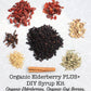 Noelles Naturals Elderberry Plus+ Syrup Making Kit - 24oz - 2 Piece Set - Natural Ingredients - Includes Free Brew Bag