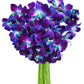 KaBloom Exotic Sapphire Orchid Bouquet - Blue - 10 - Model KaB-AZ-1147-NV - Perfect for Mothers Day, Birthdays, Sympathy, and Thank You Gifts