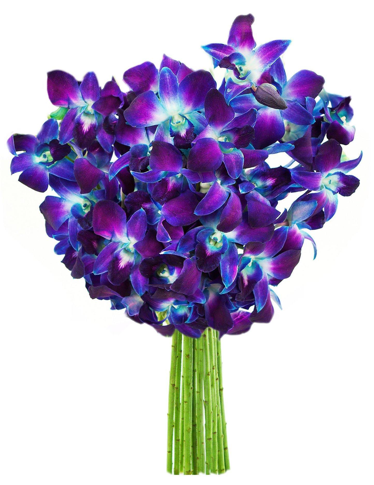 KaBloom Exotic Sapphire Orchid Bouquet - Blue - 10 - Model KaB-AZ-1147-NV - Perfect for Mothers Day, Birthdays, Sympathy, and Thank You Gifts