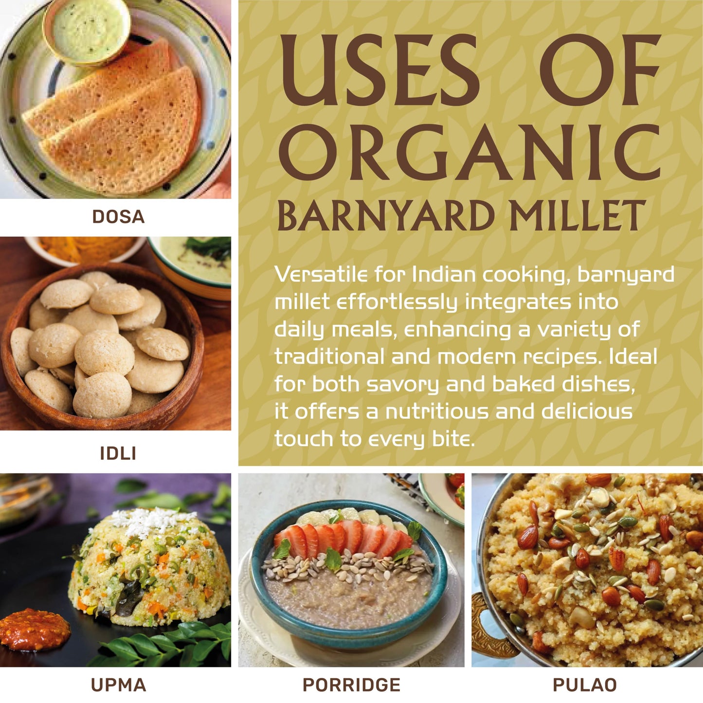 Jiva Organics Barnyard Millet | Gluten-Free, Non-GMO Superfood | 2 LB Bag