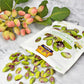 Setton Farms Shelled Pistachios, Non-GMO, Gluten Free, Vegan, 20 oz Value Bag, Raw