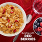 Kellogg s Special K Cold Breakfast Cereal, 11 Vitamins and Minerals, Made with Real Strawberries, Family Size, Red Berries (3 B