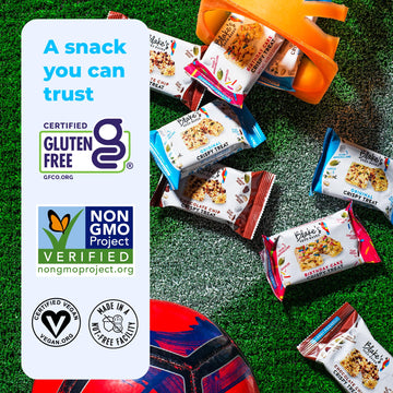 Blakes Seed Based Crispy Treats - Variety Pack (24 Count), Vegan, Gluten Free, Nut Free & Dairy Free, Healthy Snacks For Kids Or