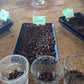 Ethiopian Yirgacheffe Green Unroasted Coffee Beans 1 Pound