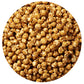 Caramel Popcorn Tin, 17 Ounce (1 Gallon Tin), Birthday Gifts, The Hampton Popcorn & Candy Company