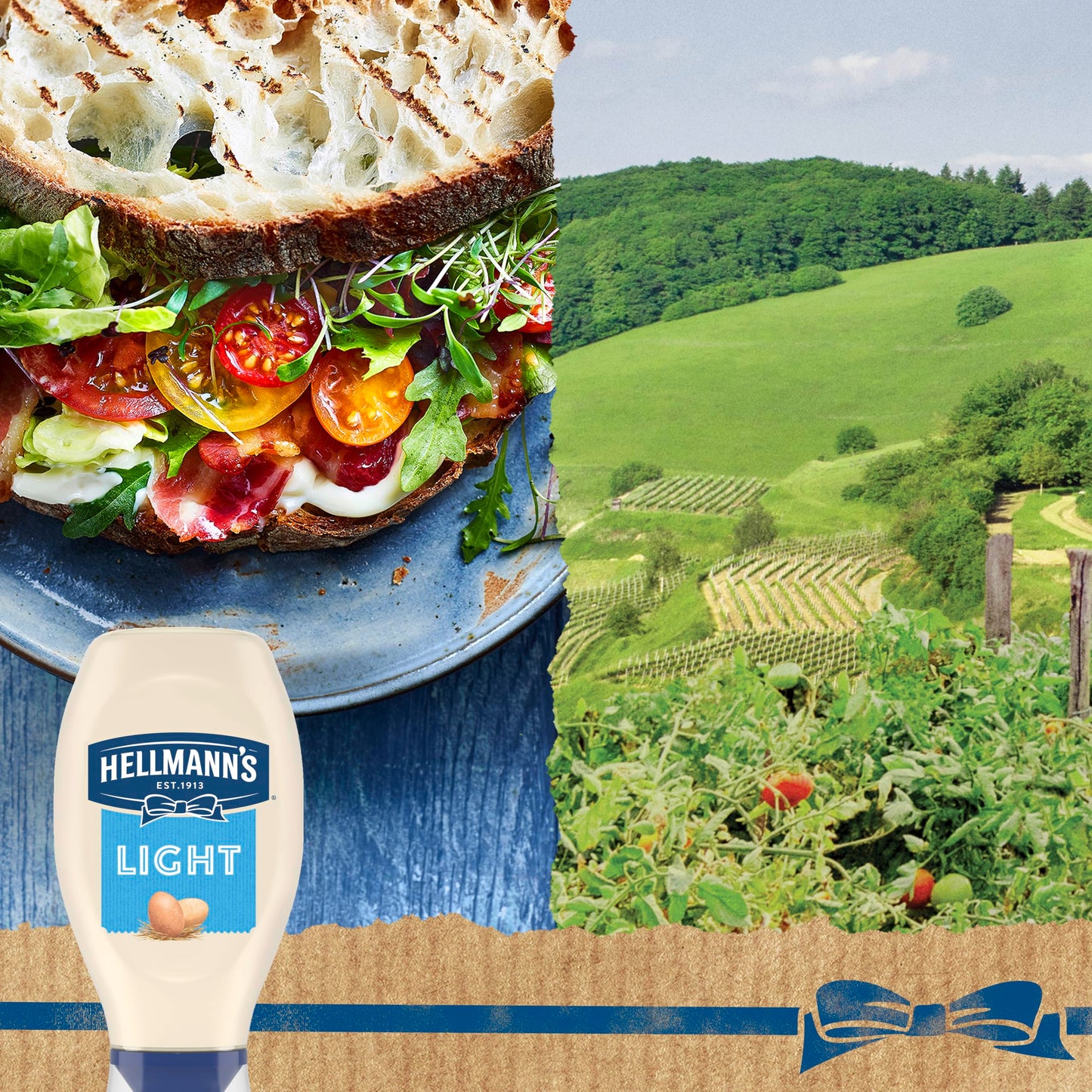Hellmann'S Light Mayonnaise Light Mayo Squeeze Bottle For A Creamy Condiment For Sandwiches And Simple Meals Made With 100% Cage