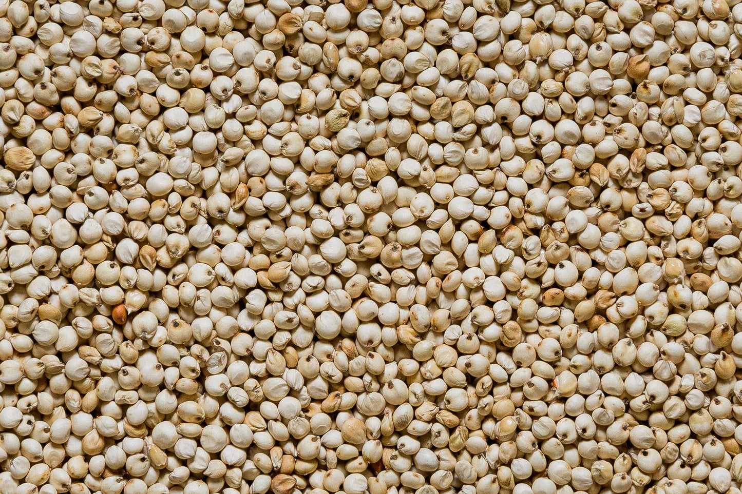 Natural Foods Diy Popping Sorghum, 15 Oz (Pack Of 2)