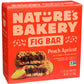 Nature'S Bakery Peach Apricot Whole Wheat Fig Bars, 6 Count, Vegan, Non Gmo, 12 Ounces (Pack Of 6)
