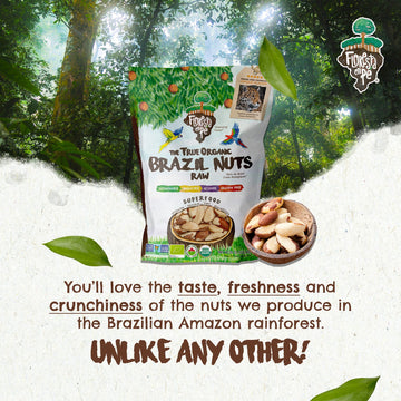 2 Snacks The True Organic Brazil Nuts Medium Size 48 Oz 3Lbs – Raw And Unsalted – Rich In Vegetable Protein – Fresh, Vegan And Gluten Free – Forest Up