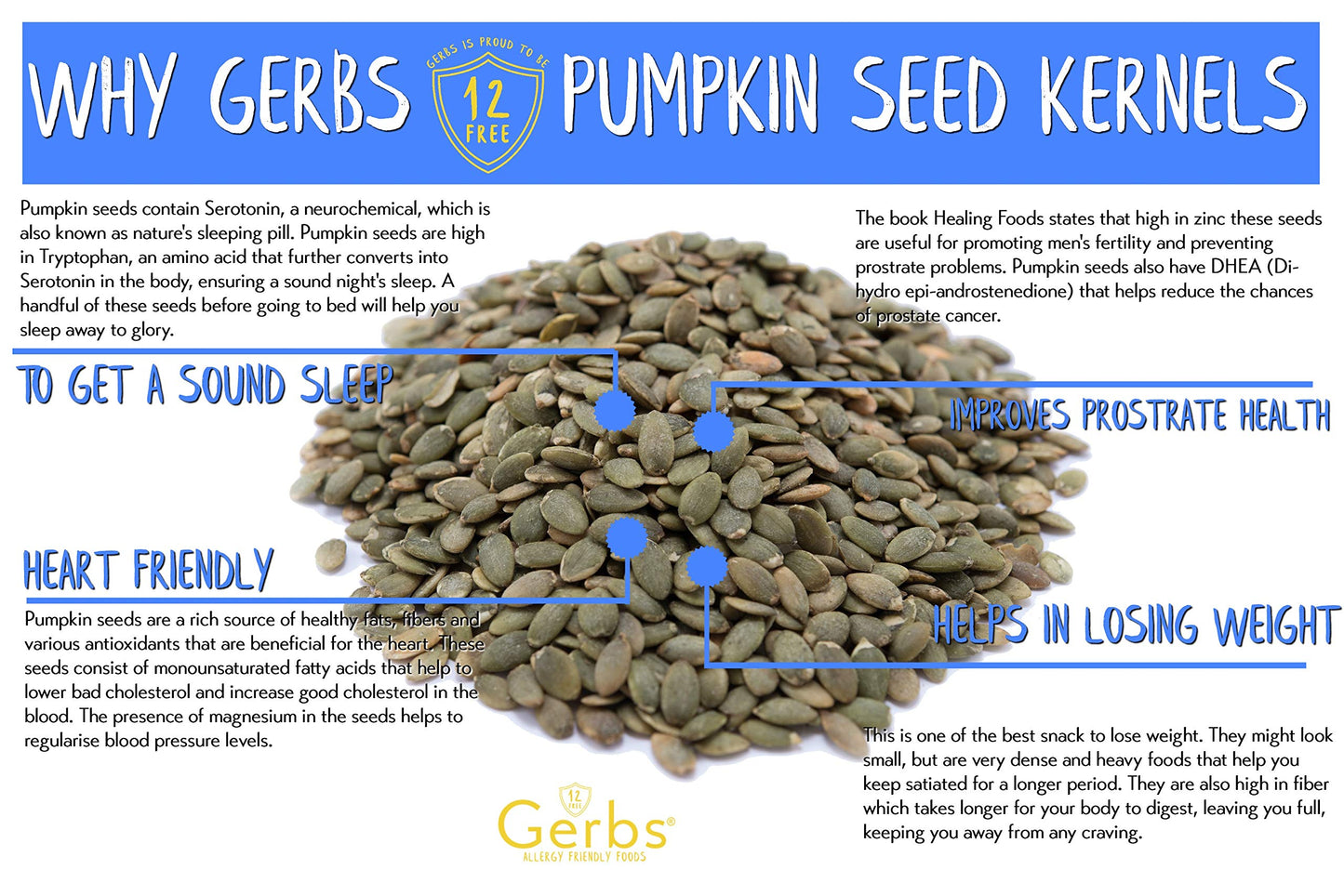 GERBS Sea Salted Pumpkin Seed Kernels 4 LBS|Top 14 Allergy Free Food |Use in salads, yogurt, baking, oatmeal, trail mix|Grown in
