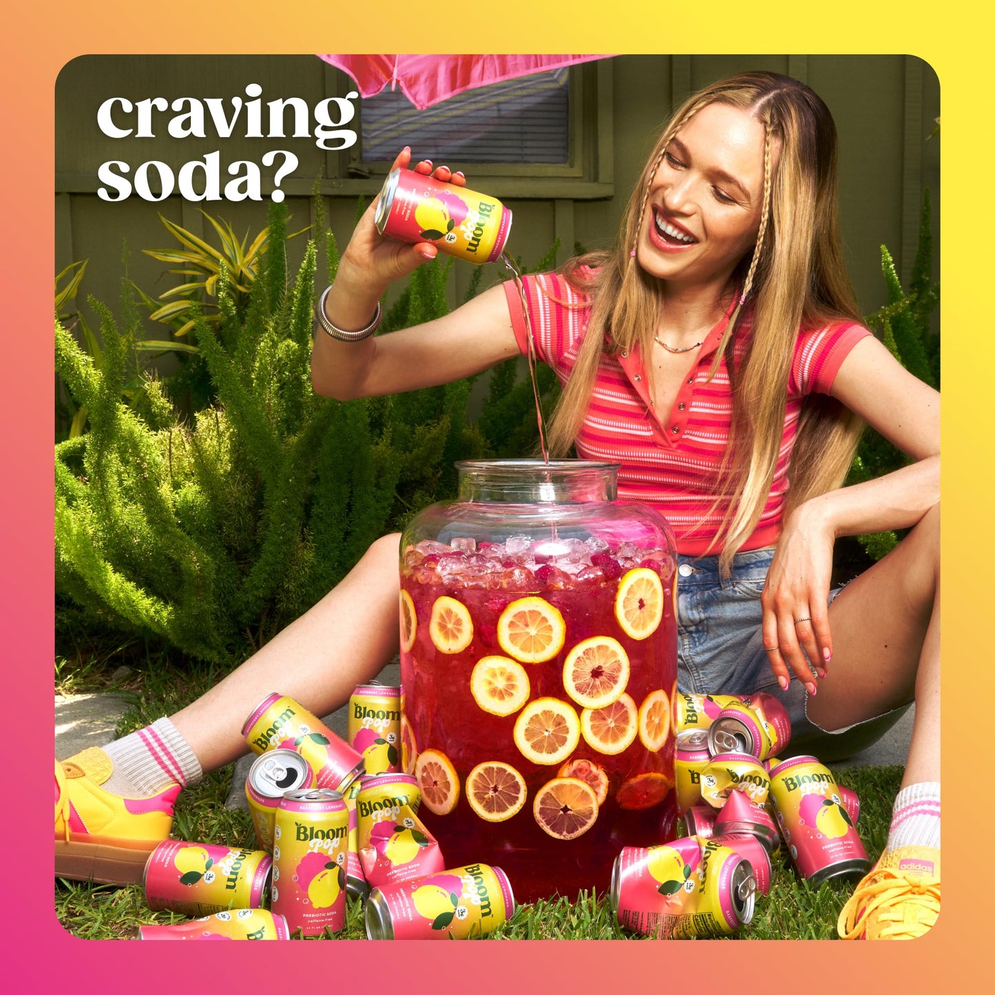 Bloom Pop Prebiotic Soda 12 Pack  Raspberry Lemonade Flavor  12oz Cans | Prebiotic Soda for Gut Health  Low Calorie Soda  No Caffeine  Healthy Soft Drink Alternative