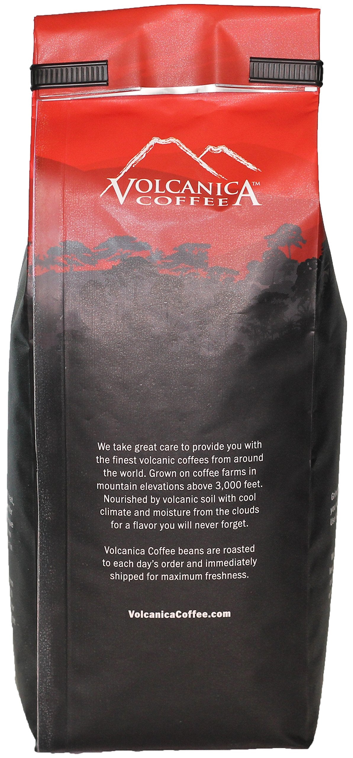 Cinnalicious Flavored Coffee, Whole Bean, 16-Ounce