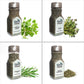 iSpice Gourmet Spice Set - 24-Pack Seasoning Collection for Cooking - 0.04 Ounce Each